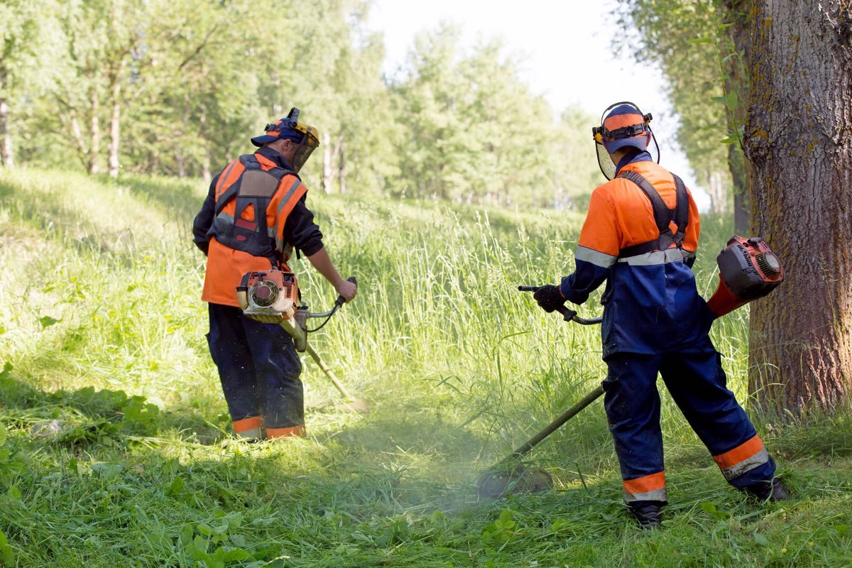 Jardinier professionnel entretien espaces verts